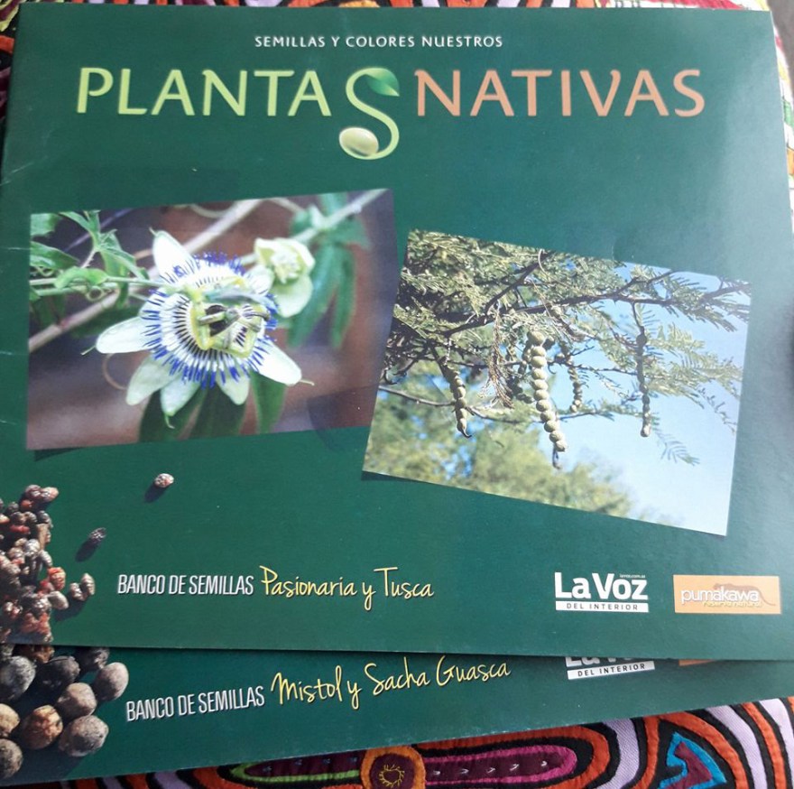 27535400_10210260275693333_1020025671_o