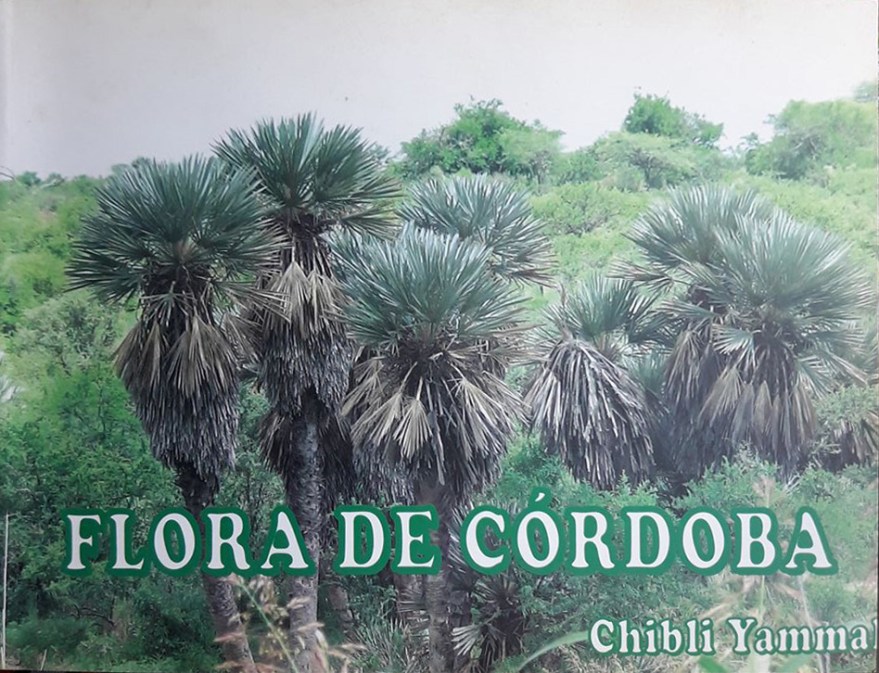 27535460_10210260259172920_324813516_o