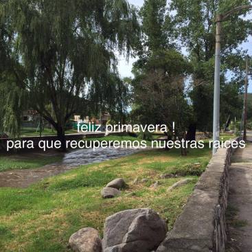 28109588_10214405807635427_1629671924_n