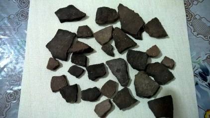 14914960_10207018555492354_1478579317_n