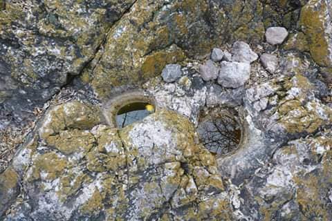 62220287_2560050264060833_3436034825335603200_n